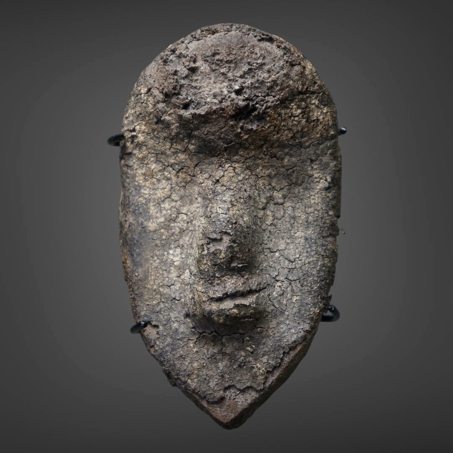 Passport Mask