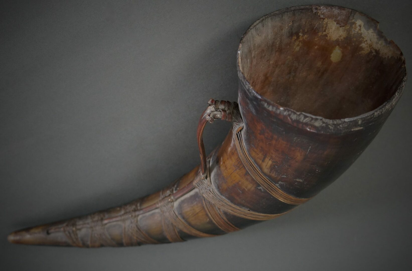 Naga Horn | Adam Prout Ethnographic Art