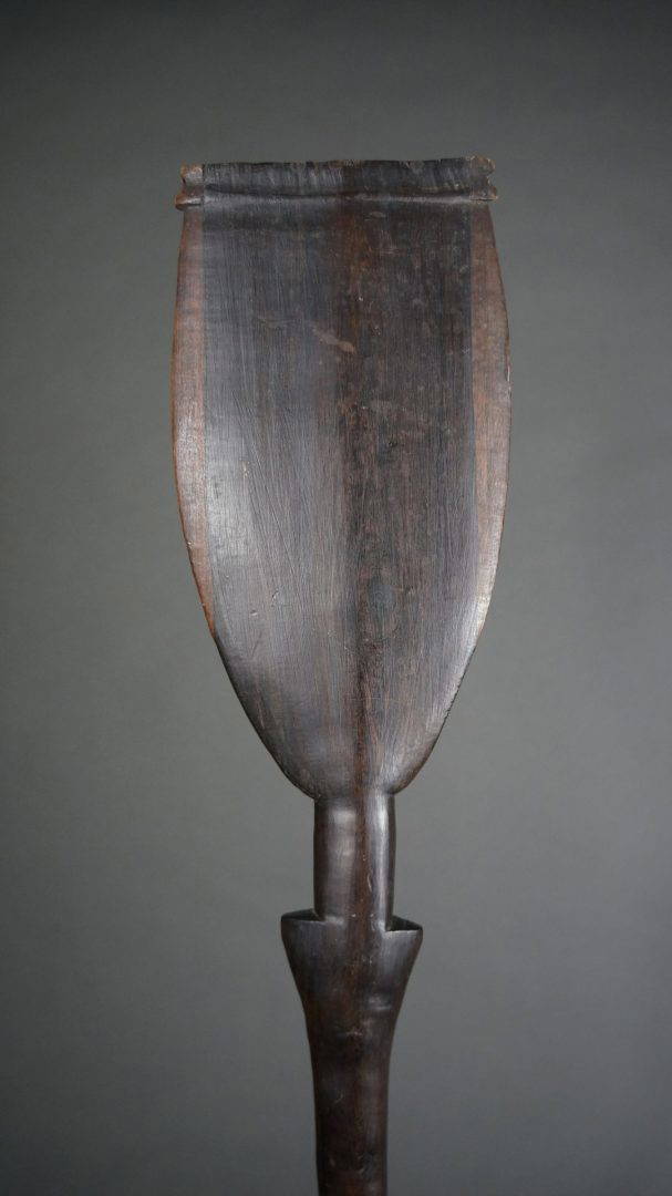 Sapakana - Image 4