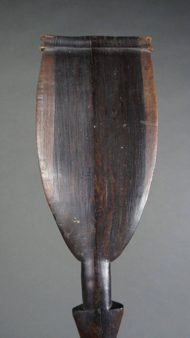 Sapakana - Image 5