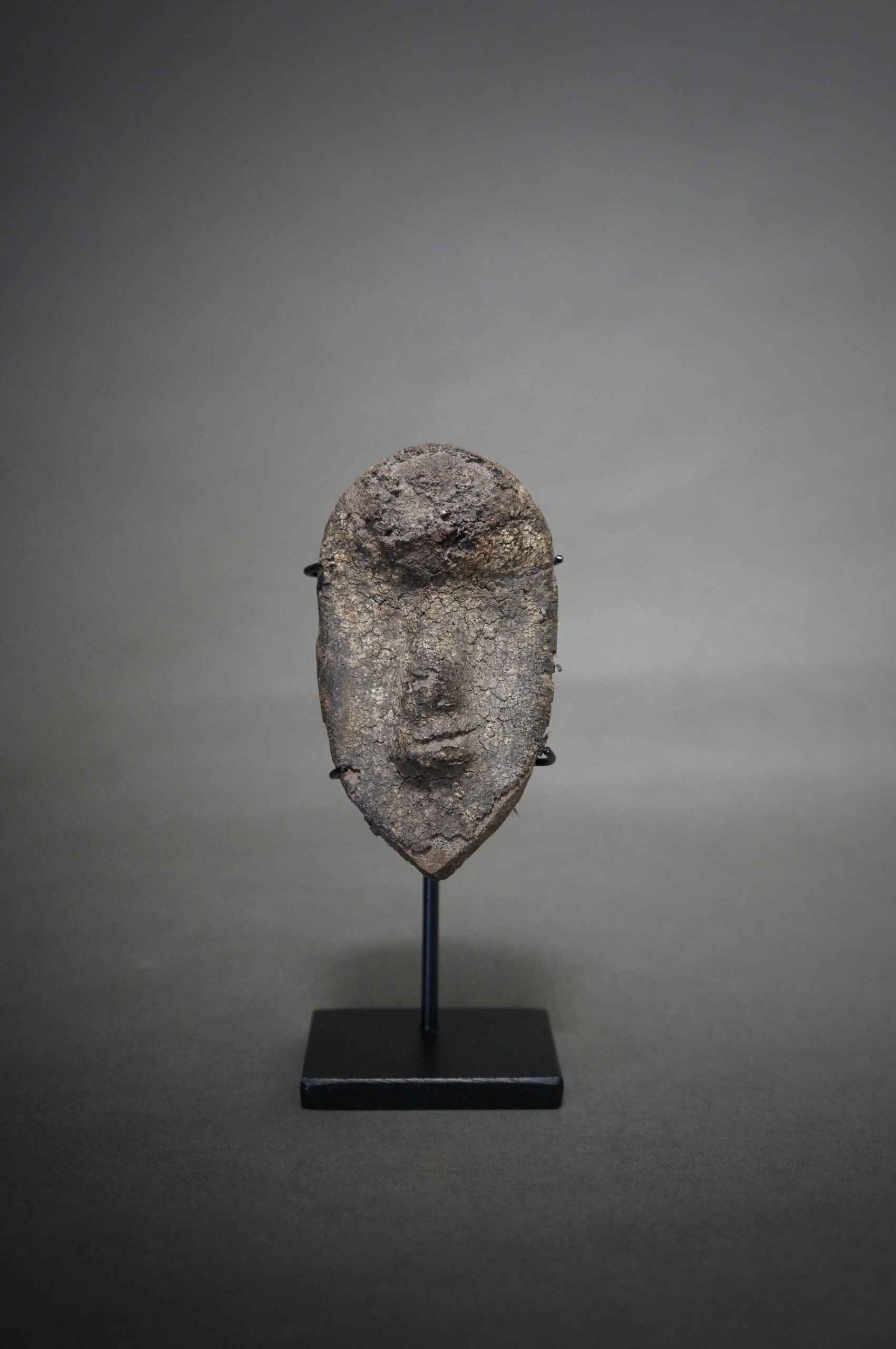 Passport Mask - Image 5