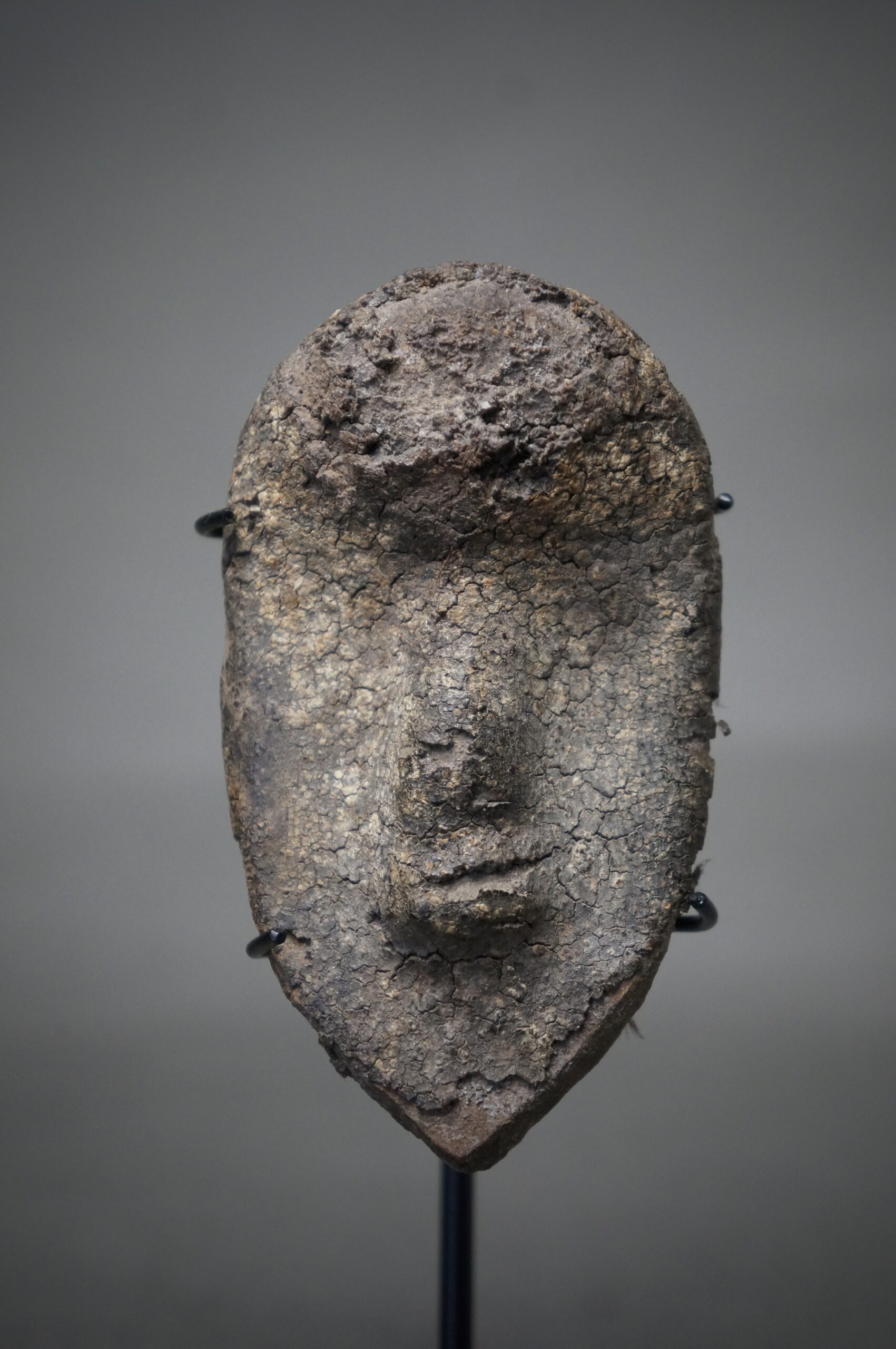 Passport Mask - Image 2