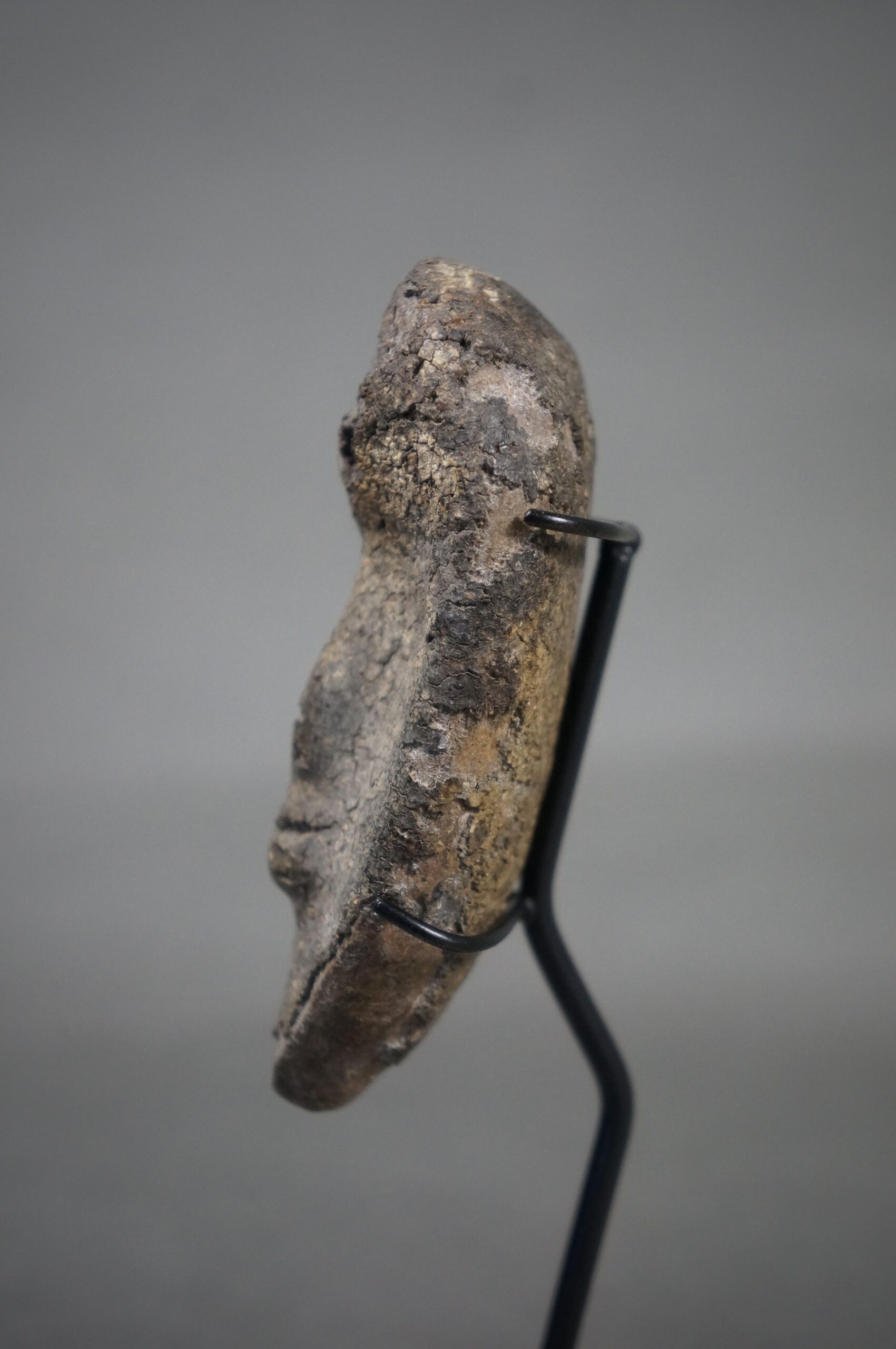 Passport Mask - Image 4