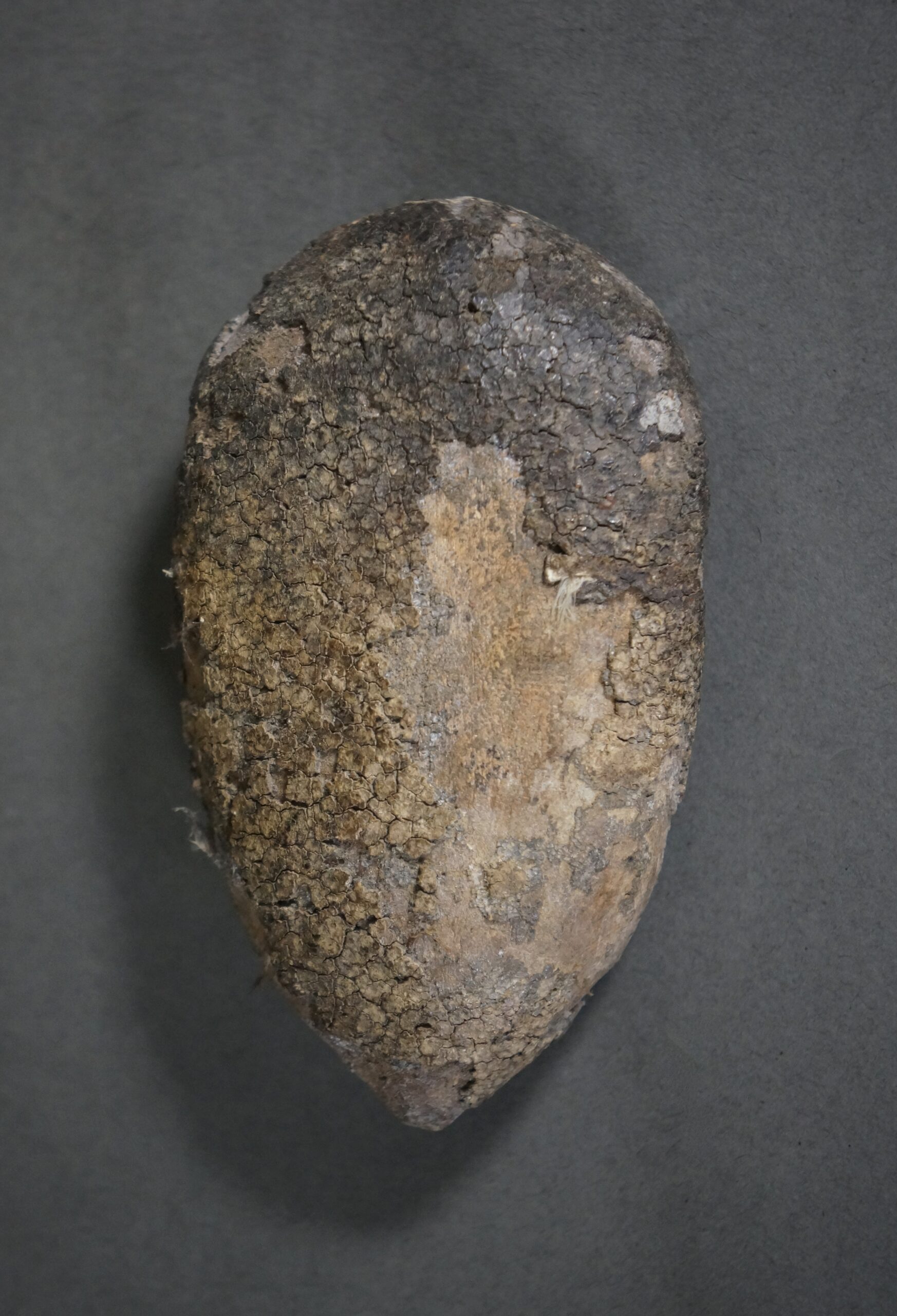 Passport Mask - Image 3