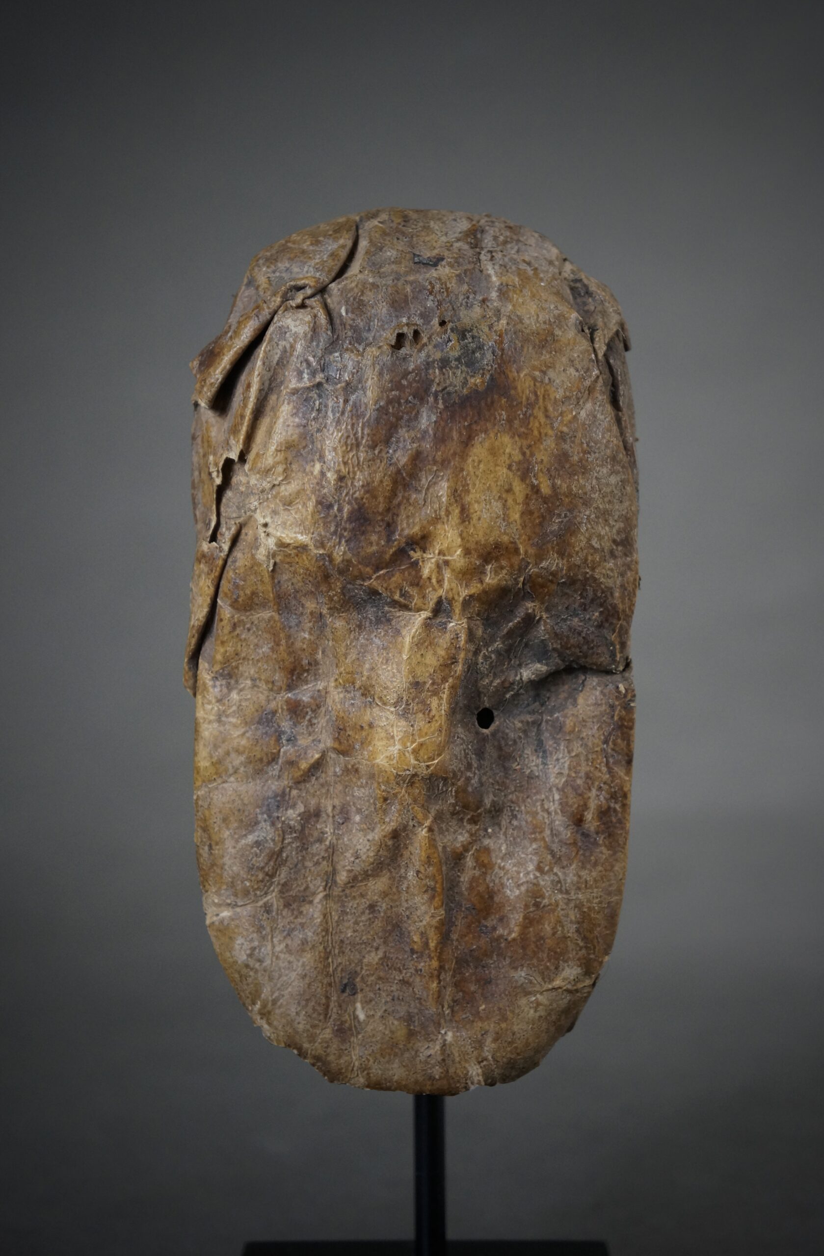 Toma - Image 3