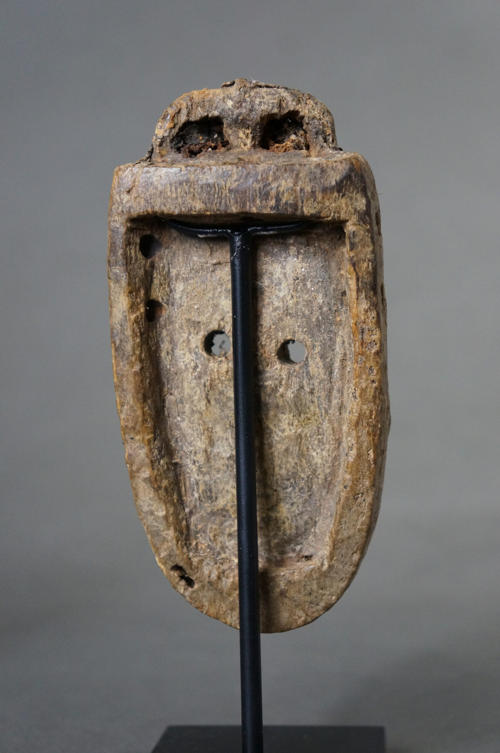 Toma - Image 4