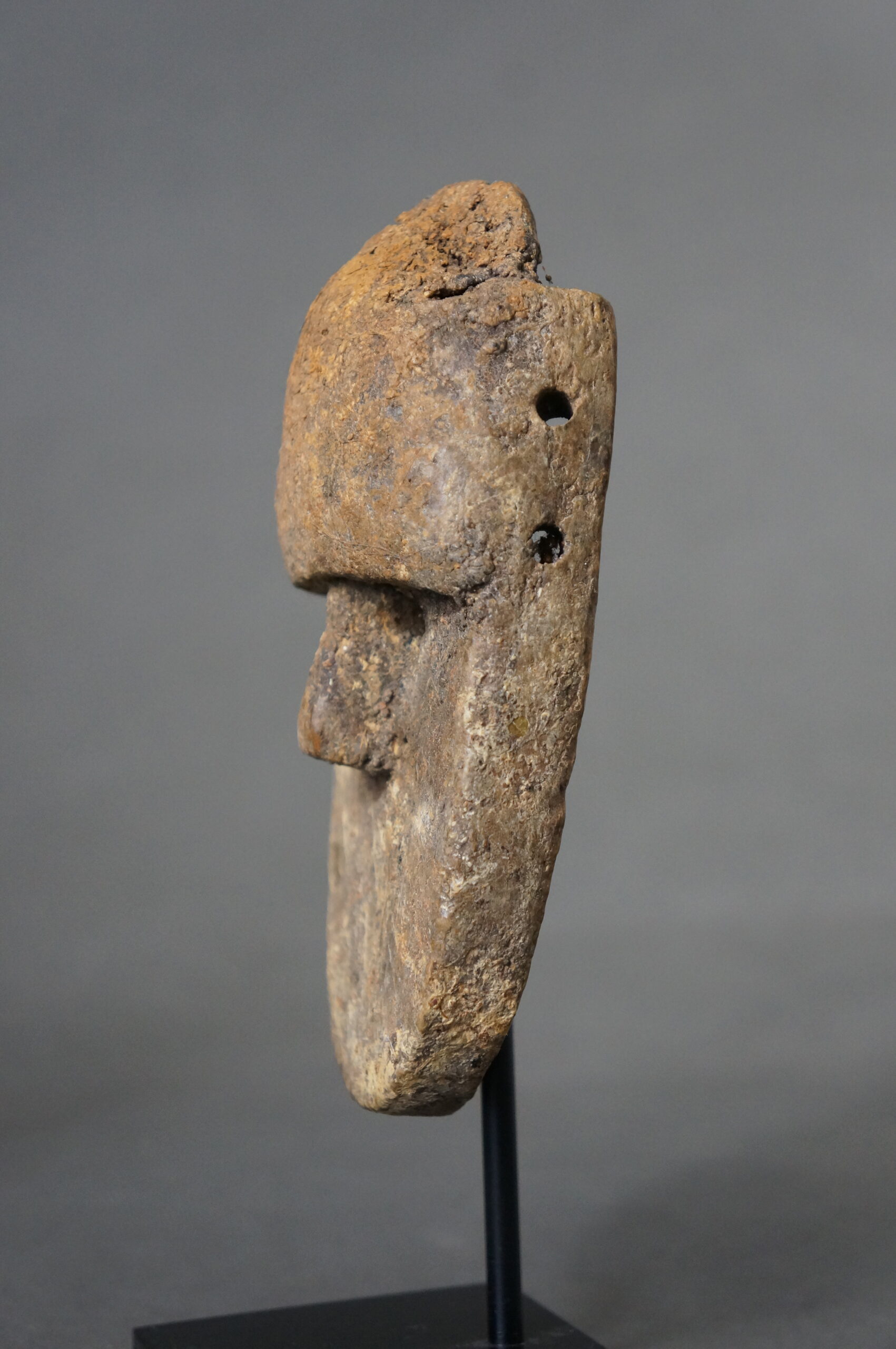 Toma - Image 5