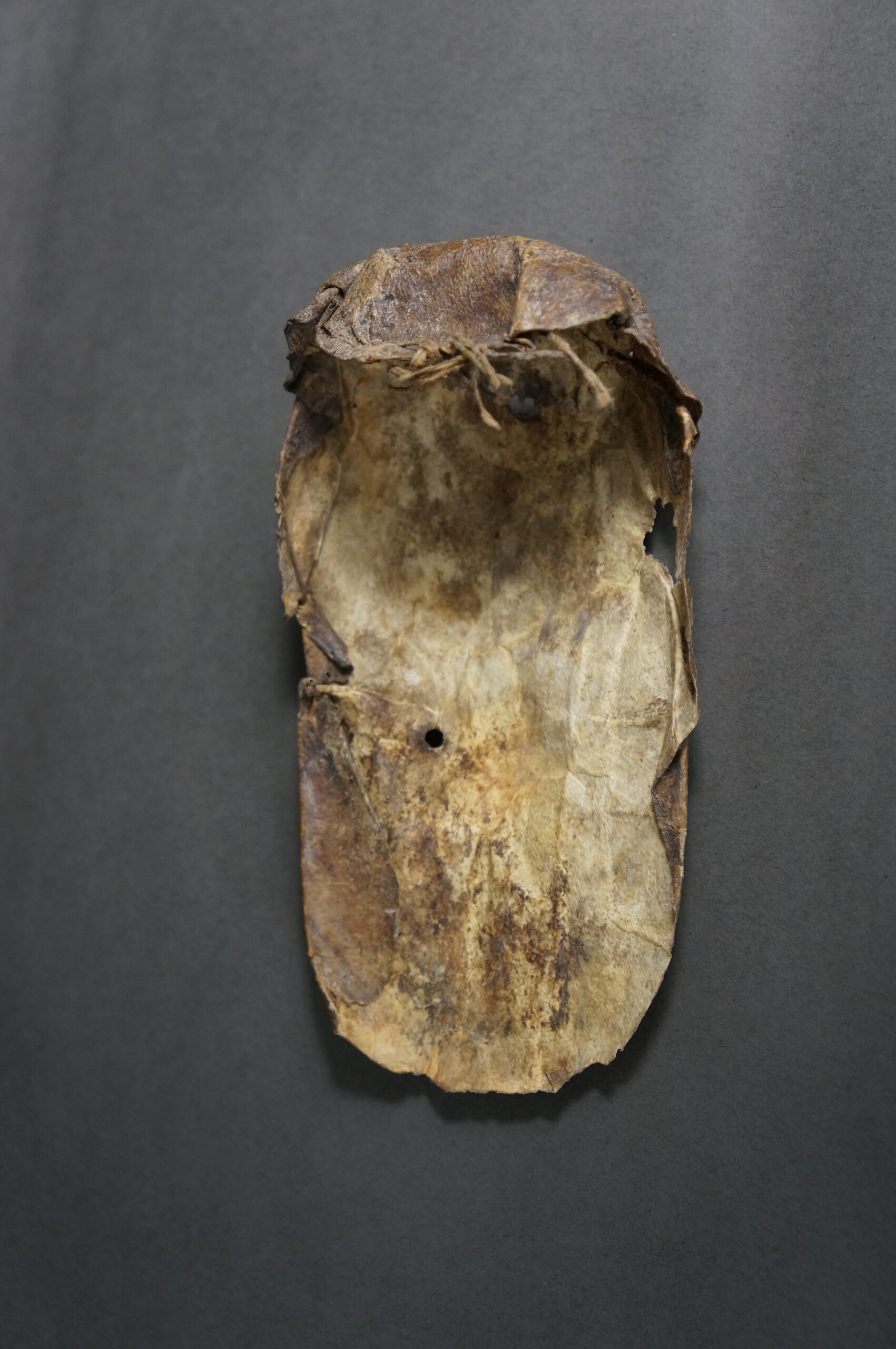 Toma - Image 6